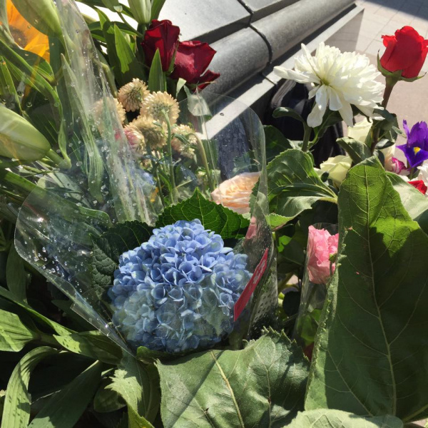 "Сенцов, живи": в Москве известный кинокритик провел одиночный пикет в поддержку политзаключенных