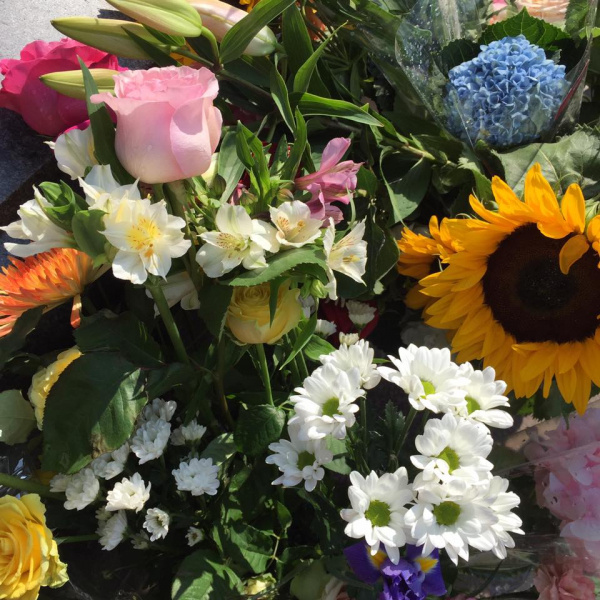 "Сенцов, живи": в Москве известный кинокритик провел одиночный пикет в поддержку политзаключенных