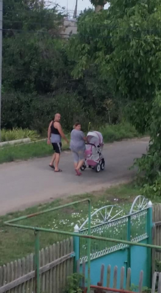 "Ногой – в живот, рукой – в горло": под Одессой избили многодетную мать (фото)