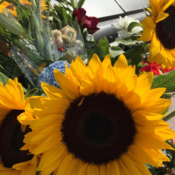 "Сенцов, живи": в Москве известный кинокритик провел одиночный пикет в поддержку политзаключенных