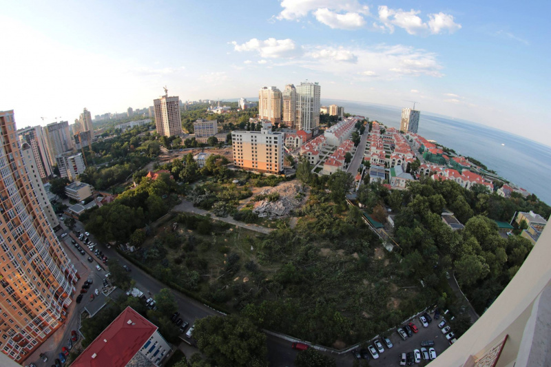 "Уникальный исторический район": в Одессе массово уничтожают деревья ради застройки (видео)