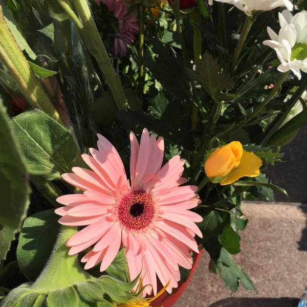 "Сенцов, живи": в Москве известный кинокритик провел одиночный пикет в поддержку политзаключенных