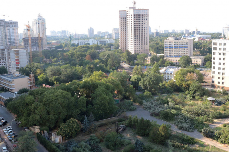 "Уникальный исторический район": в Одессе массово уничтожают деревья ради застройки (видео)