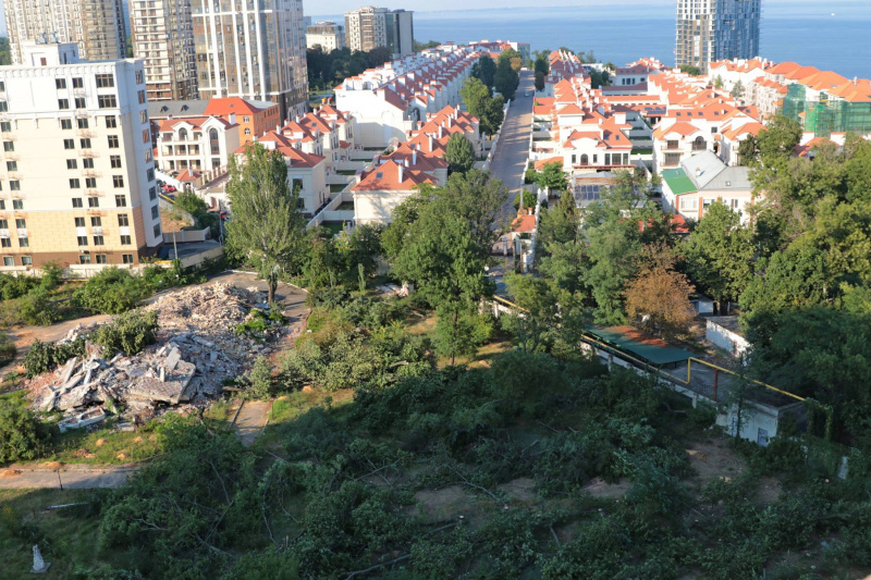 "Уникальный исторический район": в Одессе массово уничтожают деревья ради застройки (видео)