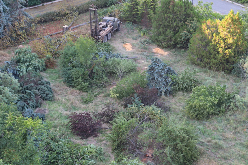 "Уникальный исторический район": в Одессе массово уничтожают деревья ради застройки (видео)