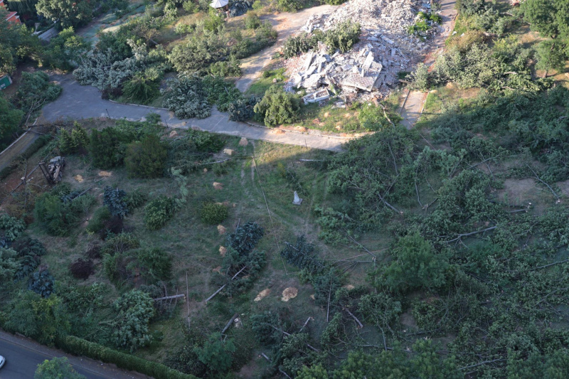 "Уникальный исторический район": в Одессе массово уничтожают деревья ради застройки (видео)