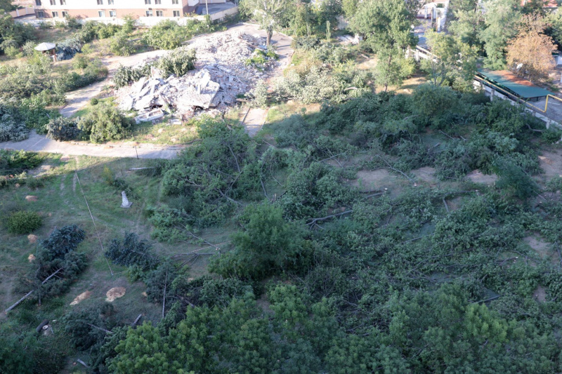 "Уникальный исторический район": в Одессе массово уничтожают деревья ради застройки (видео)