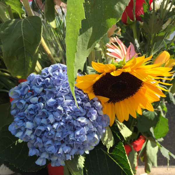 "Сенцов, живи": в Москве известный кинокритик провел одиночный пикет в поддержку политзаключенных