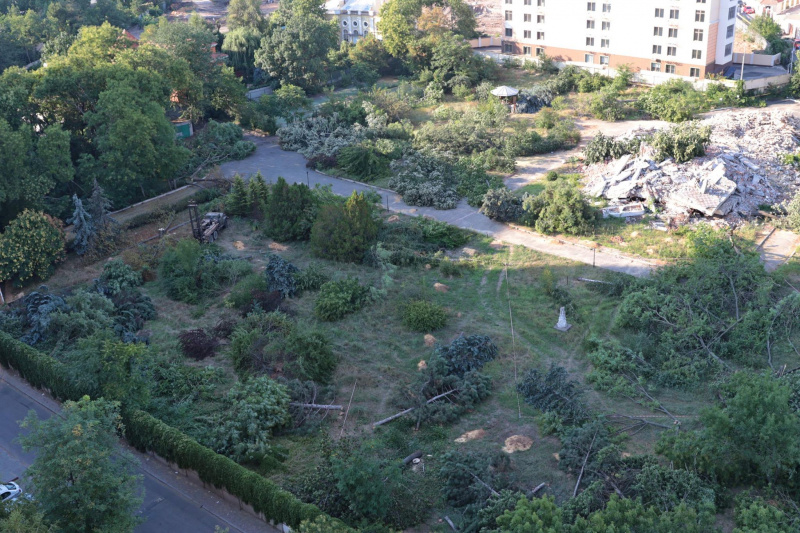 "Уникальный исторический район": в Одессе массово уничтожают деревья ради застройки (видео)