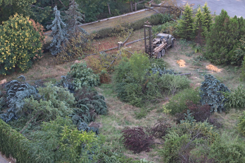 "Уникальный исторический район": в Одессе массово уничтожают деревья ради застройки (видео)