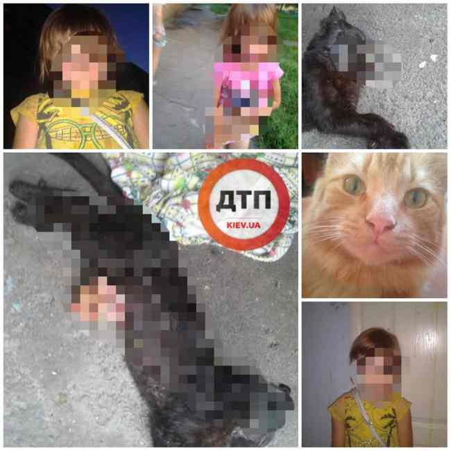 "Убивает котят, вынимая органы": в сети появились подробности "ужасного хобби" шестилетней девочки