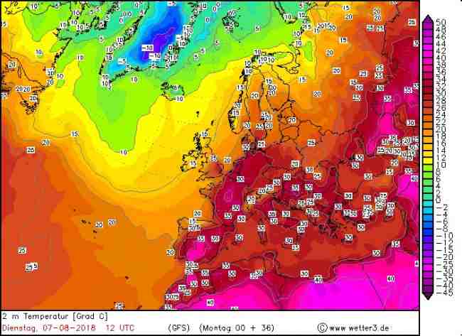 "Набрать в корзины лета": синоптик дала прогноз погоды на 7 августа