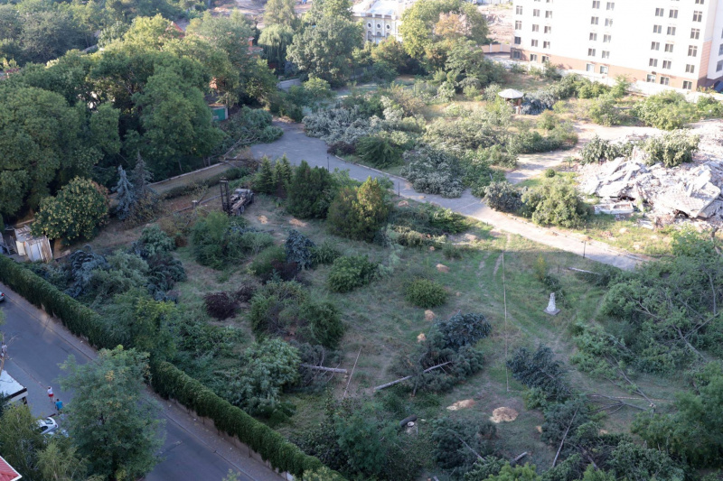 "Уникальный исторический район": в Одессе массово уничтожают деревья ради застройки (видео)