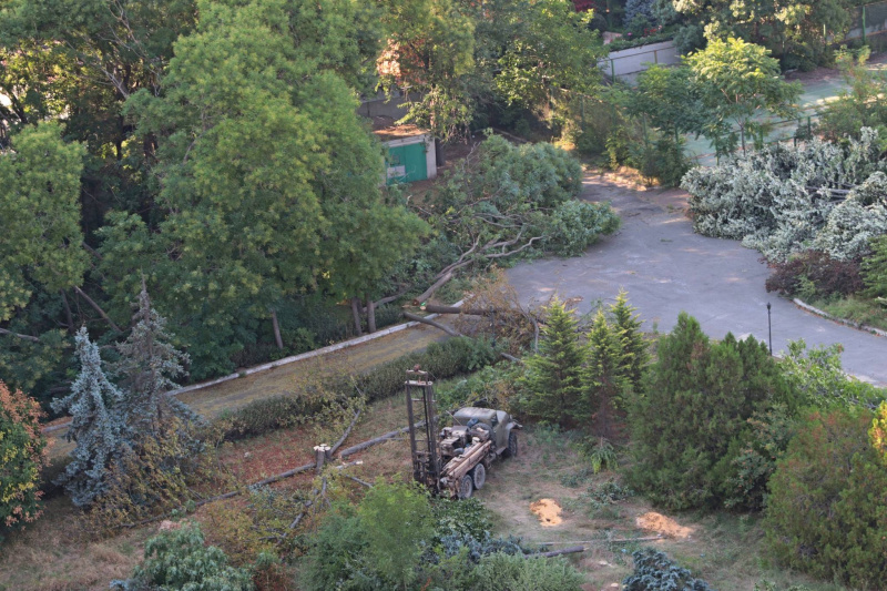"Уникальный исторический район": в Одессе массово уничтожают деревья ради застройки (видео)