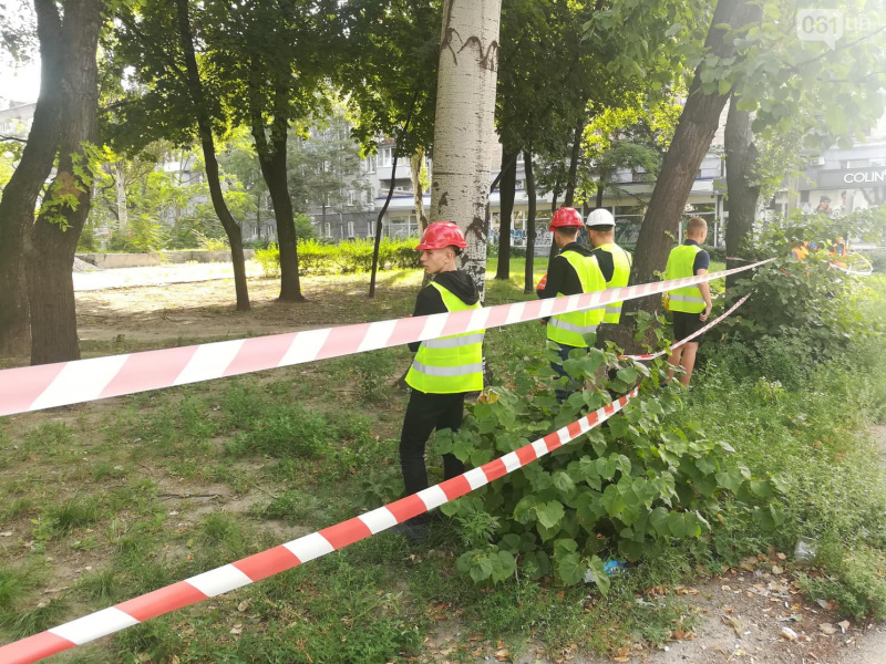 В Запорожье пилят парк в центре города ради постройки ТРЦ (фото, видео)
