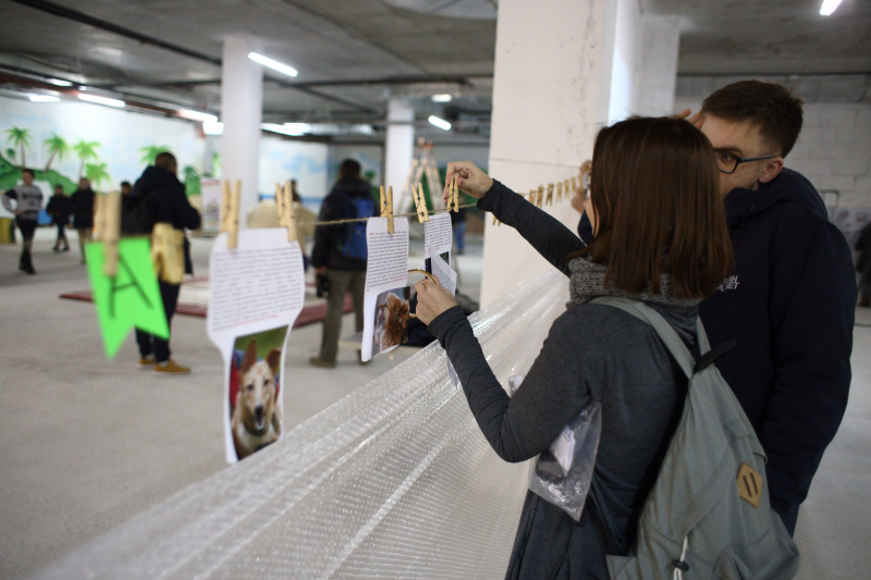 Ходьба по канатам, битье тарелок и другие активности: как в Киеве прошел "Антистресс Фест" (фоторепортаж)