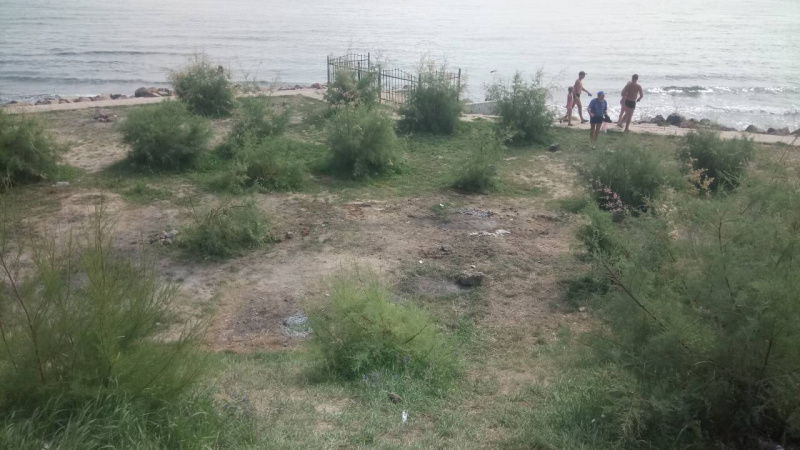 &quot;Ваш город живет благодаря нашим деньгам&quot;: под Одессой людей с пляжа выгоняли трактором (фото)