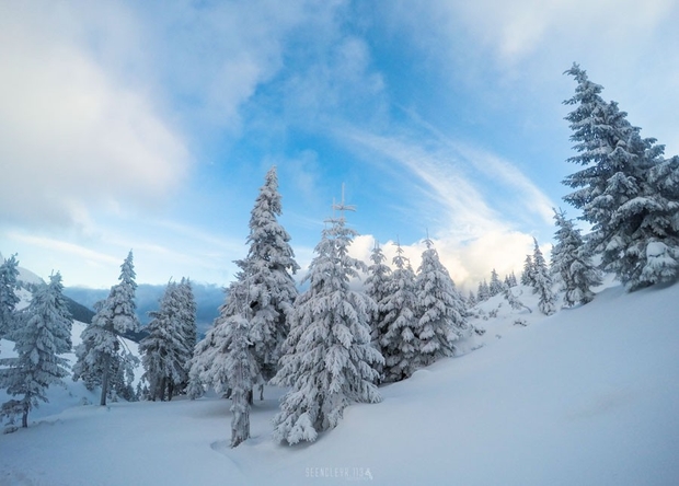В сети показали фото заснеженных Карпат