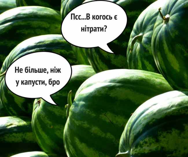 Это отрава? Супрун развенчала популярные мифы о нитратах и арбузах