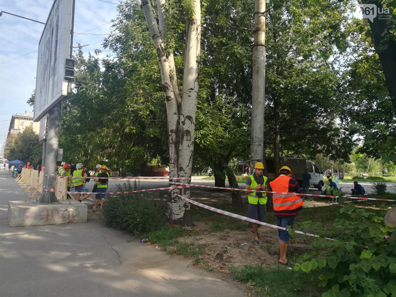 В Запорожье пилят парк в центре города ради постройки ТРЦ (фото, видео)