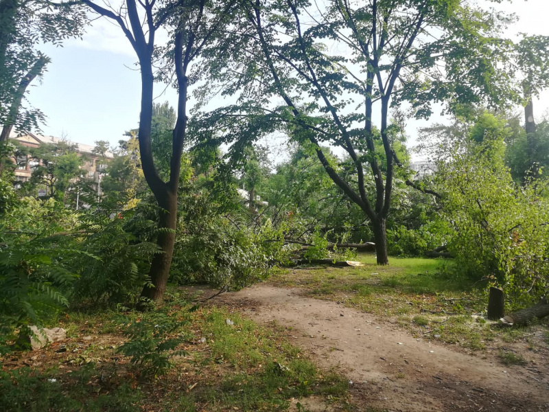 В Запорожье пилят парк в центре города ради постройки ТРЦ (фото, видео)