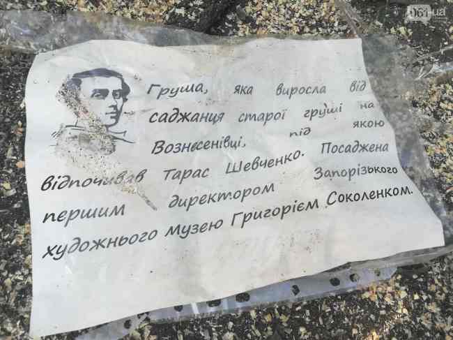 В Запорожье пилят парк в центре города ради постройки ТРЦ (фото, видео)