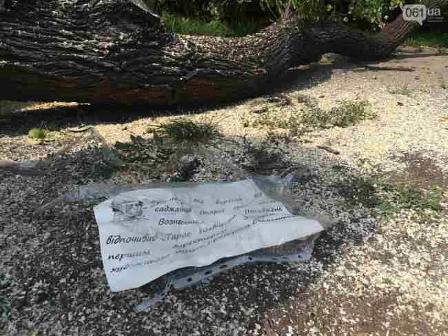 В Запорожье пилят парк в центре города ради постройки ТРЦ (фото, видео)