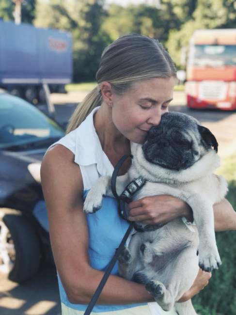 "Обнимаю каждого": в Киеве нашли похищенного мопса "Каспера" (фото)