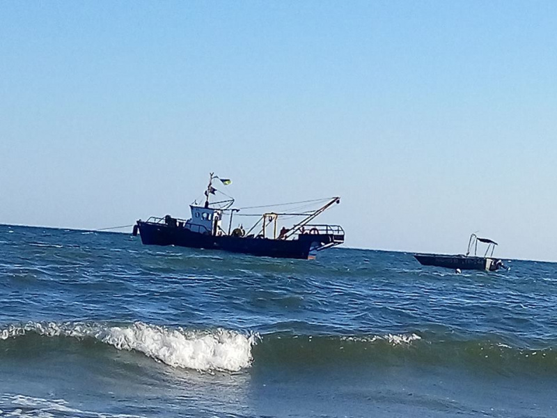 &quot;Еще рядом с ними плавал в июле&quot;: в сети показали незаконный вылов дельфинов в Черном море