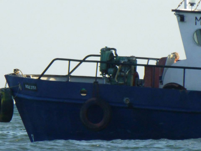 &quot;Еще рядом с ними плавал в июле&quot;: в сети показали незаконный вылов дельфинов в Черном море