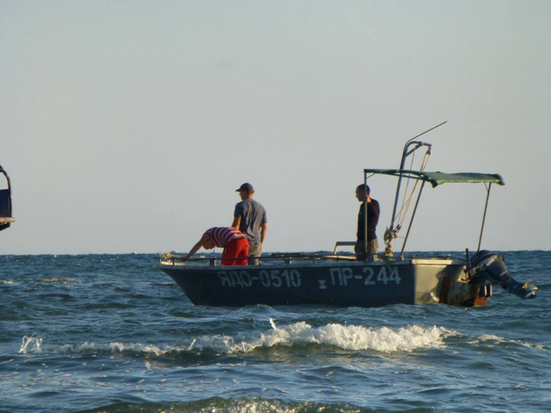 &quot;Еще рядом с ними плавал в июле&quot;: в сети показали незаконный вылов дельфинов в Черном море