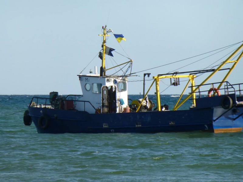 &quot;Еще рядом с ними плавал в июле&quot;: в сети показали незаконный вылов дельфинов в Черном море