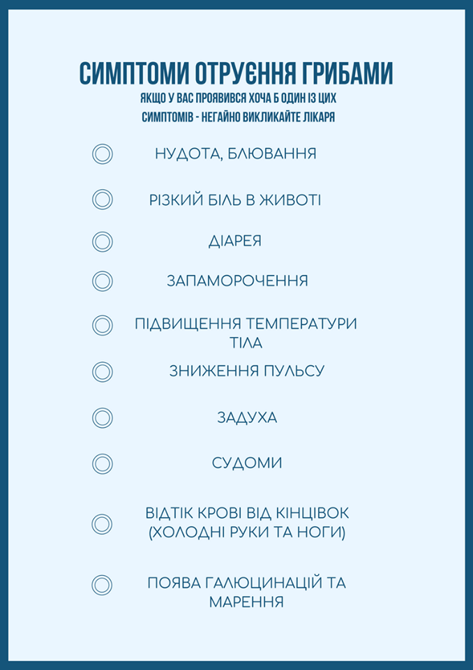 "Спасут жизнь": в Минздраве рассказали, как правильно употреблять в пищу грибы