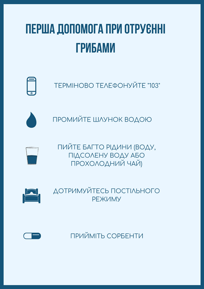 "Спасут жизнь": в Минздраве рассказали, как правильно употреблять в пищу грибы