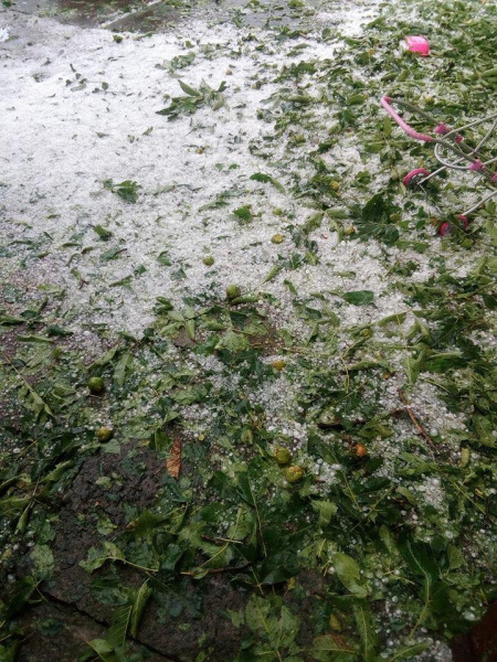 &quot;И моря не надо&quot;: после мощной грозы улицы Львова превратились в реки