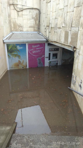 &quot;И моря не надо&quot;: после мощной грозы улицы Львова превратились в реки