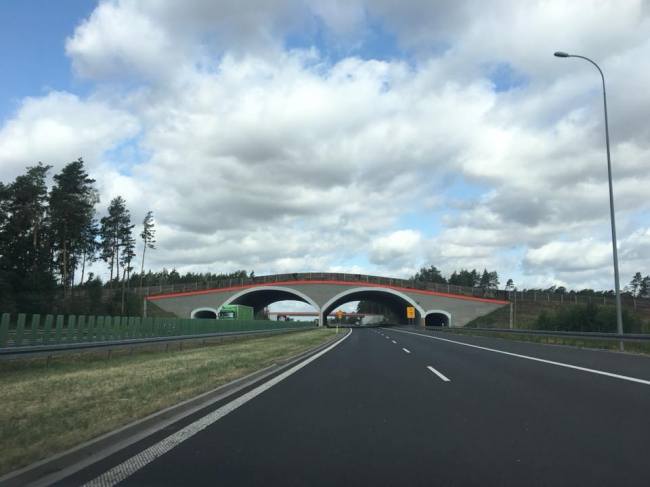 &quot;Плохой народ&quot; или коррупция: журналист объяснил высокую смертность на украинских дорогах