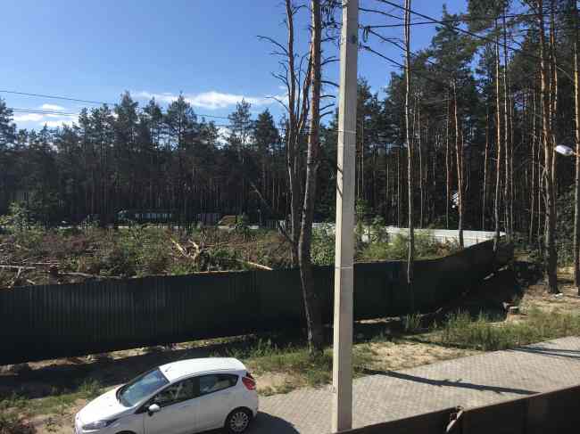Вырубка леса в Гостомеле: скандальный участок обнесли забором — готовятся строить ТЦ (видео)