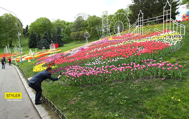 В Киеве открылась уникальная выставка тюльпанов &quot;Вокруг света&quot; (яркий фоторепортаж)