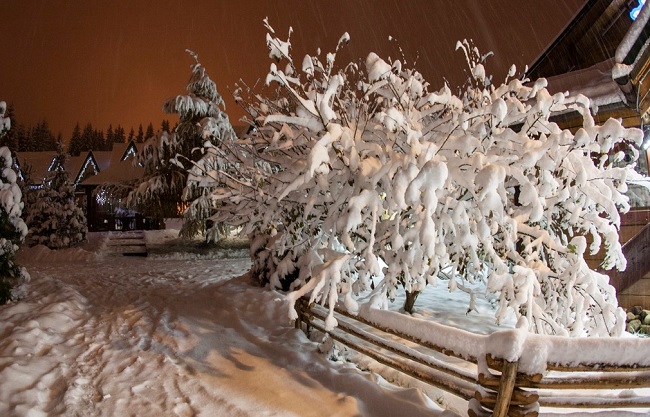 Снегопады в Украине: самые невероятные фото