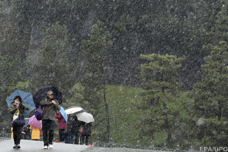 Впервые за 54 года: жителей Токио удивил внезапный снег