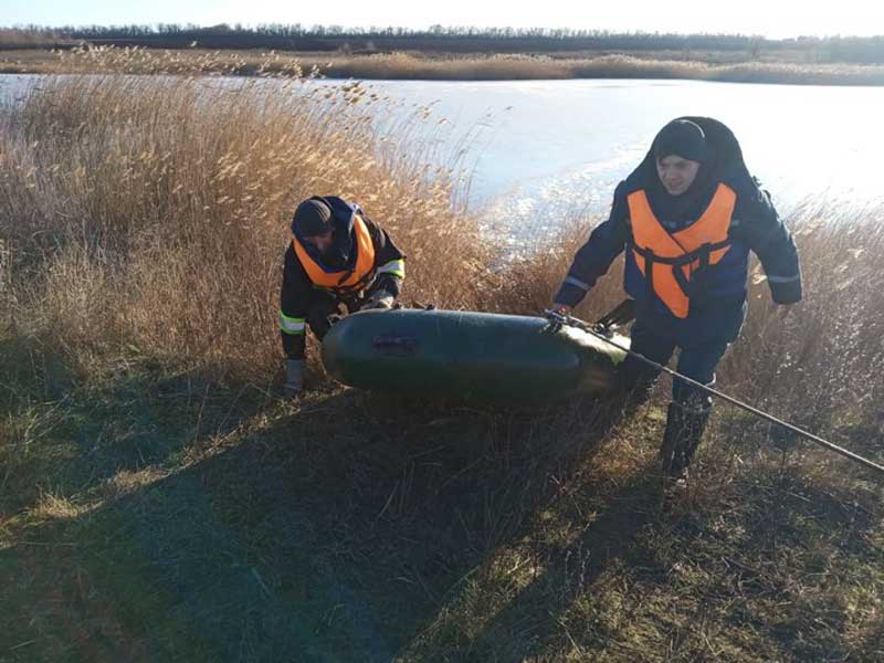 Крижана пастка: під Запоріжжям до ставка примерзли лебеді (фото)
