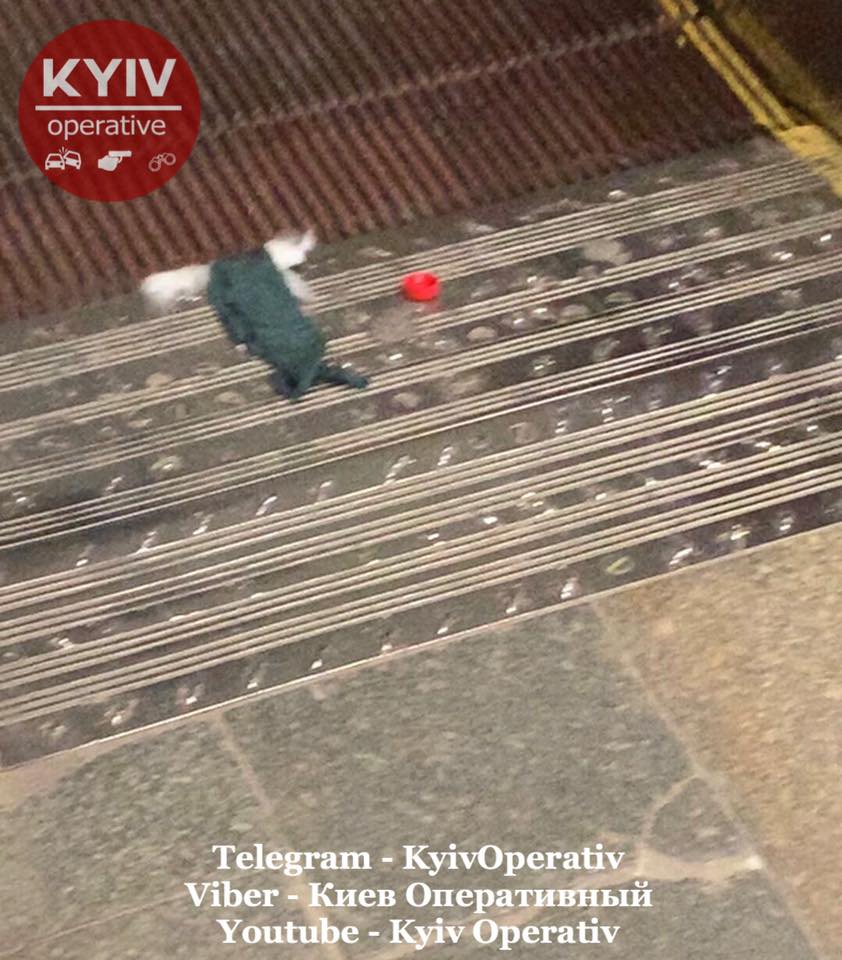 В метро Киева произошло ЧП на эскалаторе: не успела вовремя встать