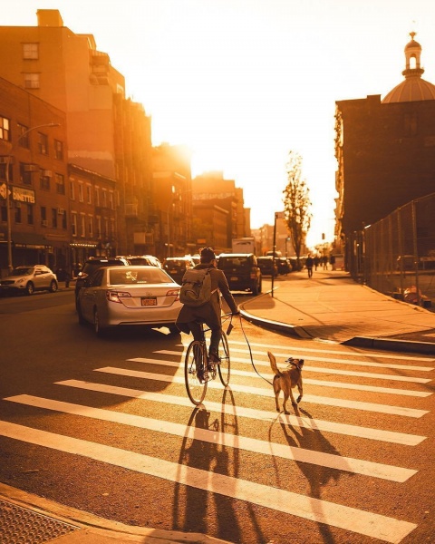 Осінь у Нью-Йорку: опубліковані чарівні фото мегаполісу