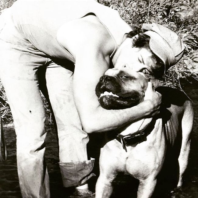 Сталлоне розповів дуже зворушливу історію про свого пса по кличці Баткас