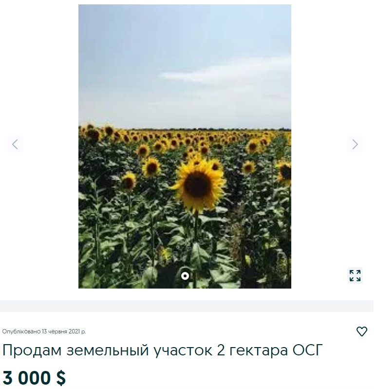 За скільки можна продати свої 2 га землі: ціни в різних регіонах України