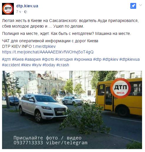 У Києві водій припаркувався на повалене дерево