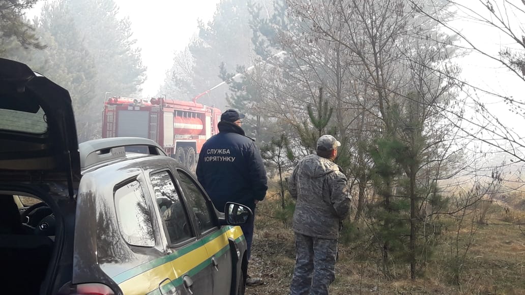 Світ краси став попелищем: дивовижні фото із зони відчуження до пожеж