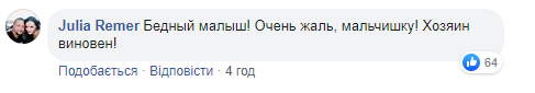 Поверталися з садка: у Києві собака накинулася на хлопчика з батьком і серйозно травмувала (фото)