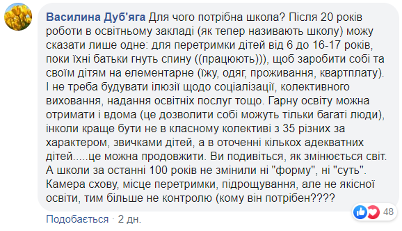 Учителям за карантин не доплатят, а зарплату пересмотрят: в МОН сделали заявление